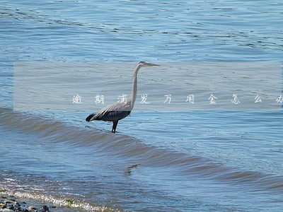 逾期浦发万用金怎么办 逾期浦发万用金怎么办
