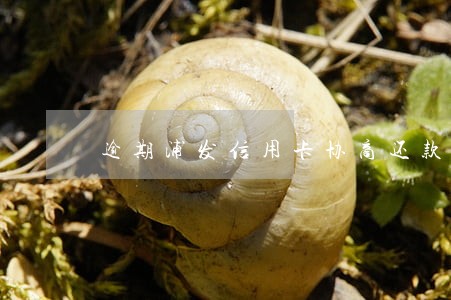 逾期浦发信用卡协商还款吗 逾期浦发信用卡协商还款吗