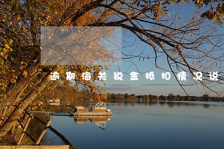 逾期海关税金抵扣情况说明 逾期海关税金抵扣情况说明