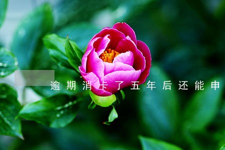 逾期消卡了五年后还能申请吗 逾期消卡了五年后还能申请吗