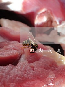 逾期消息会发给公司吗 逾期消息会发给公司吗