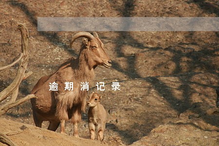 逾期消记录 逾期消记录