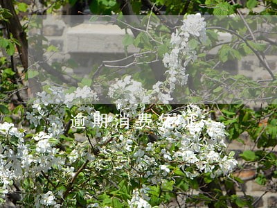 逾期消费凭证 逾期消费凭证