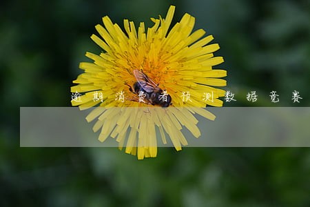 逾期消费者预测数据竞赛 逾期消费者预测数据竞赛