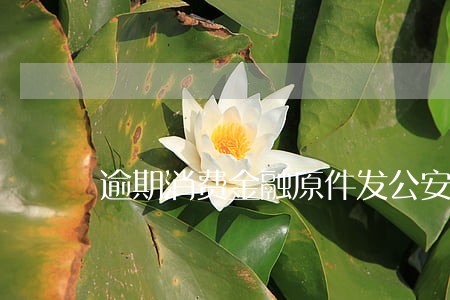 逾期消费金融原件发公安局 逾期消费金融原件发公安局