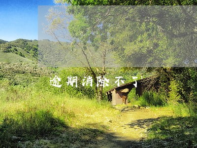 逾期消除不了 逾期消除不了