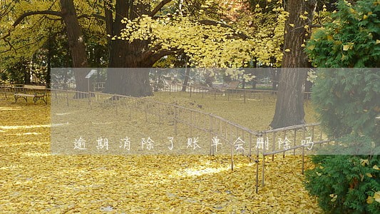 逾期消除了账单会删除吗 逾期消除了账单会删除吗
