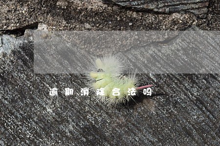 逾期消除合法吗 逾期消除合法吗