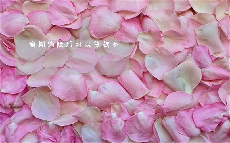 逾期消除后可以贷款不 逾期消除后可以贷款不