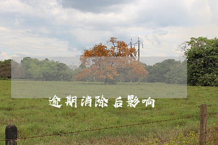 逾期消除后影响 逾期消除后影响