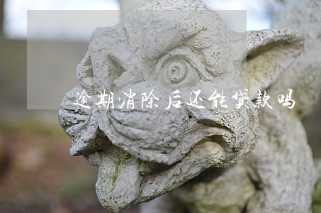 逾期消除后还能贷款吗 逾期消除后还能贷款吗