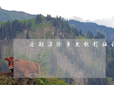 逾期消除多久能打征信 逾期消除多久能打征信