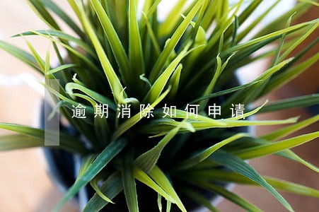 逾期消除如何申请 逾期消除如何申请