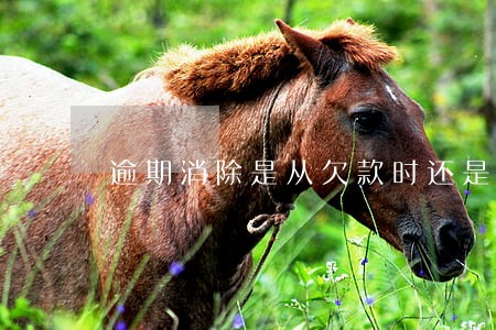 逾期消除是从欠款时还是结清