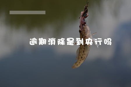 逾期消除是到央行吗 逾期消除是到央行吗