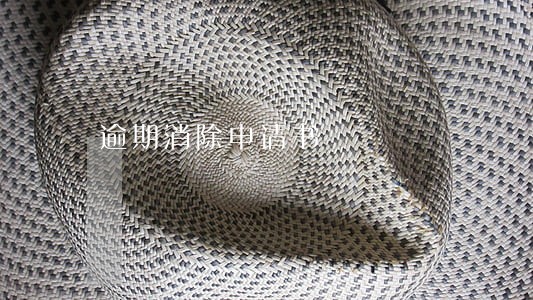 逾期消除申请书 逾期消除申请书