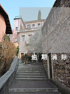 逾期消除申请证明 逾期消除申请证明