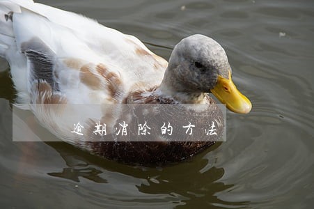 逾期消除的方法 逾期消除的方法