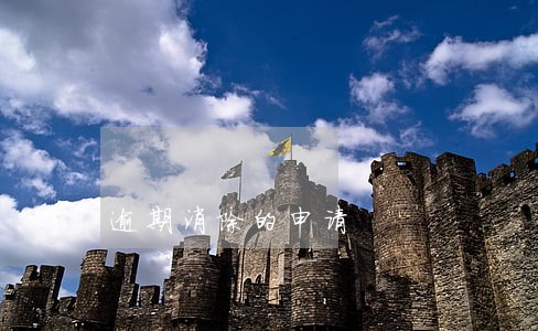 逾期消除的申请 逾期消除的申请