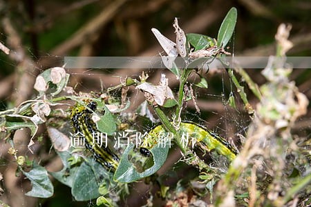 逾期消除解析 逾期消除解析