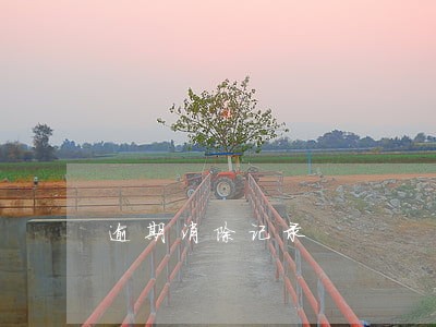 逾期消除记录 逾期消除记录