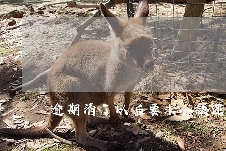 逾期清了以后要求全款还清 逾期清了以后要求全款还清