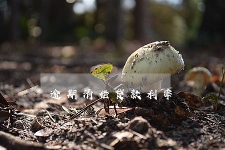 逾期清偿贷款利率 逾期清偿贷款利率