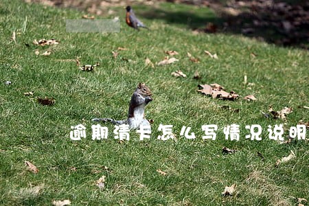 逾期清卡怎么写情况说明