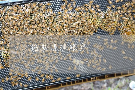 逾期清理账户 逾期清理账户