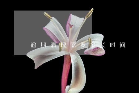 逾期清理需要多长时间 逾期清理需要多长时间