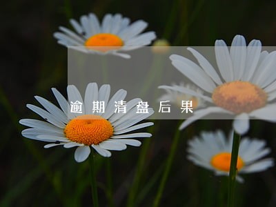 逾期清盘后果 逾期清盘后果