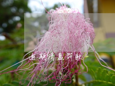 逾期清盘罚款 逾期清盘罚款