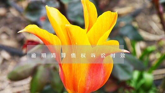 逾期清算债权诉讼时效 逾期清算债权诉讼时效