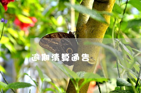 逾期清算通告