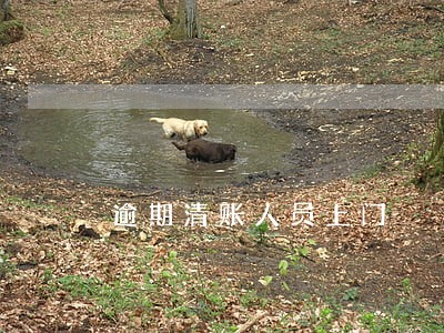 逾期清账人员上门