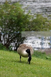 逾期清退通知