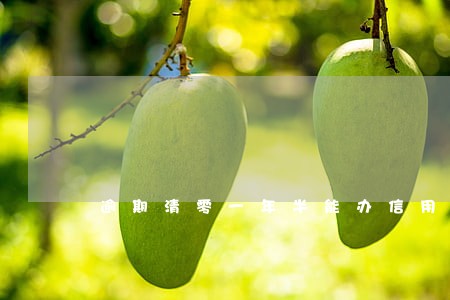 逾期清零一年半能办信用卡吗 逾期清零一年半能办信用卡吗