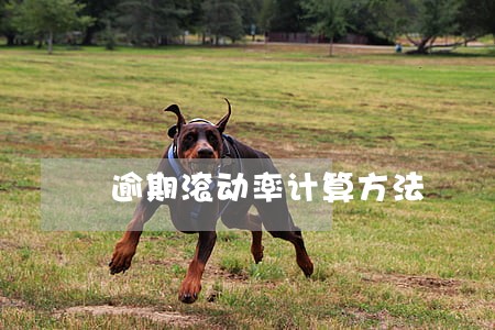 逾期滚动率计算方法
