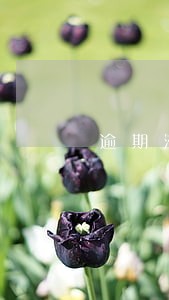 逾期滞留中国后果