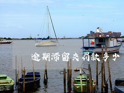 逾期滞留交罚款多少 逾期滞留交罚款多少
