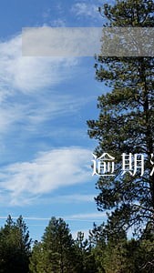 逾期滞留会有记录吗新西兰 逾期滞留会有记录吗新西兰