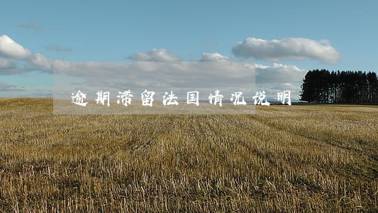 逾期滞留法国情况说明 逾期滞留法国情况说明
