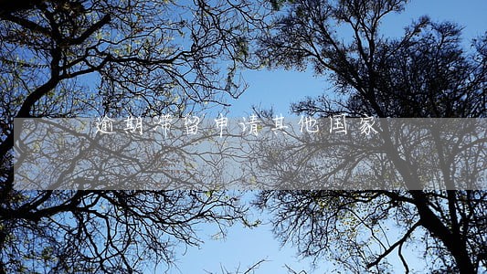 逾期滞留申请其他国家 逾期滞留申请其他国家