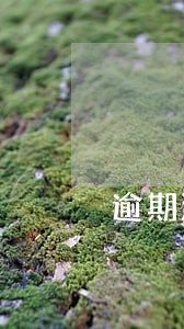 逾期滞留签证会失效吗 逾期滞留签证会失效吗