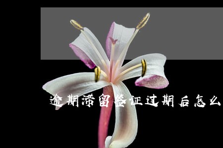 逾期滞留签证过期后怎么办 逾期滞留签证过期后怎么办