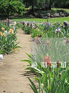 逾期滞留需要重新办签证吗 逾期滞留需要重新办签证吗