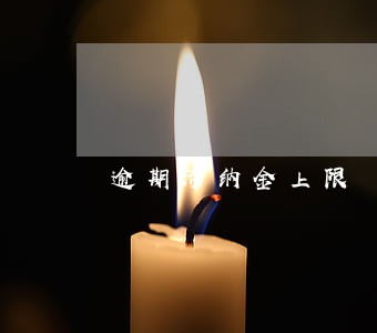 逾期滞纳金上限 逾期滞纳金上限