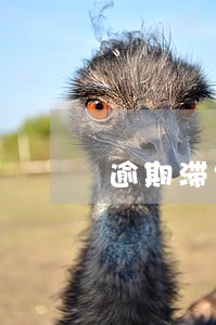 逾期滞纳金与迟延履行利息