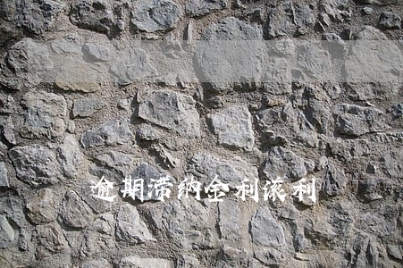 逾期滞纳金利滚利 逾期滞纳金利滚利