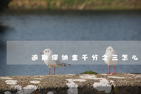 逾期滞纳金千分之三怎么计算 逾期滞纳金千分之三怎么计算